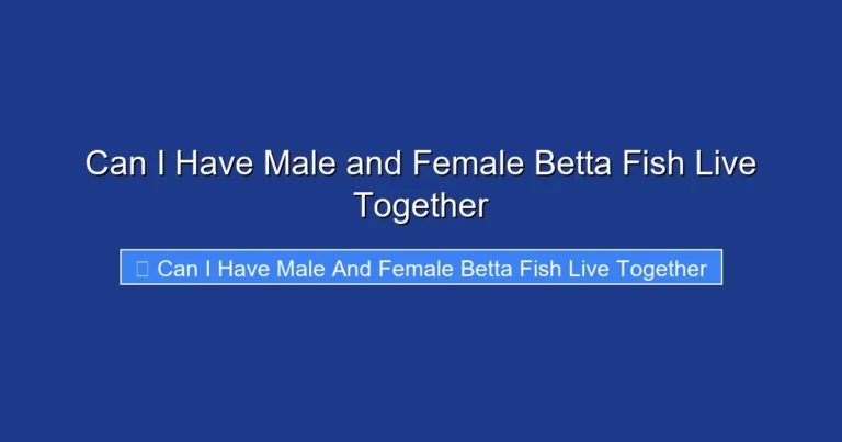 Can I Have Male and Female Betta Fish Live Together