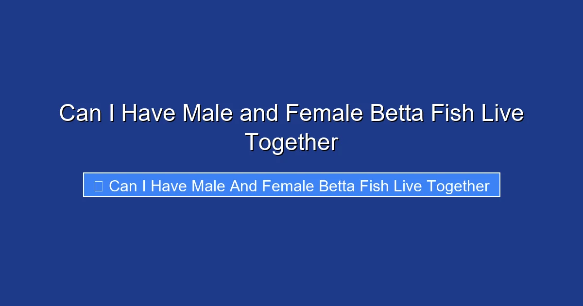 Can I Have Male and Female Betta Fish Live Together