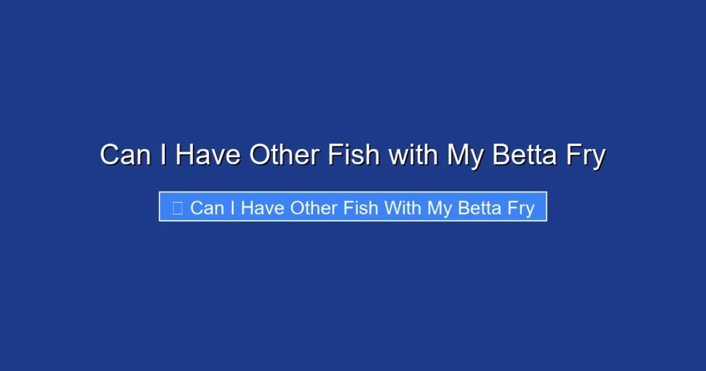 Can I Have Other Fish with My Betta Fry