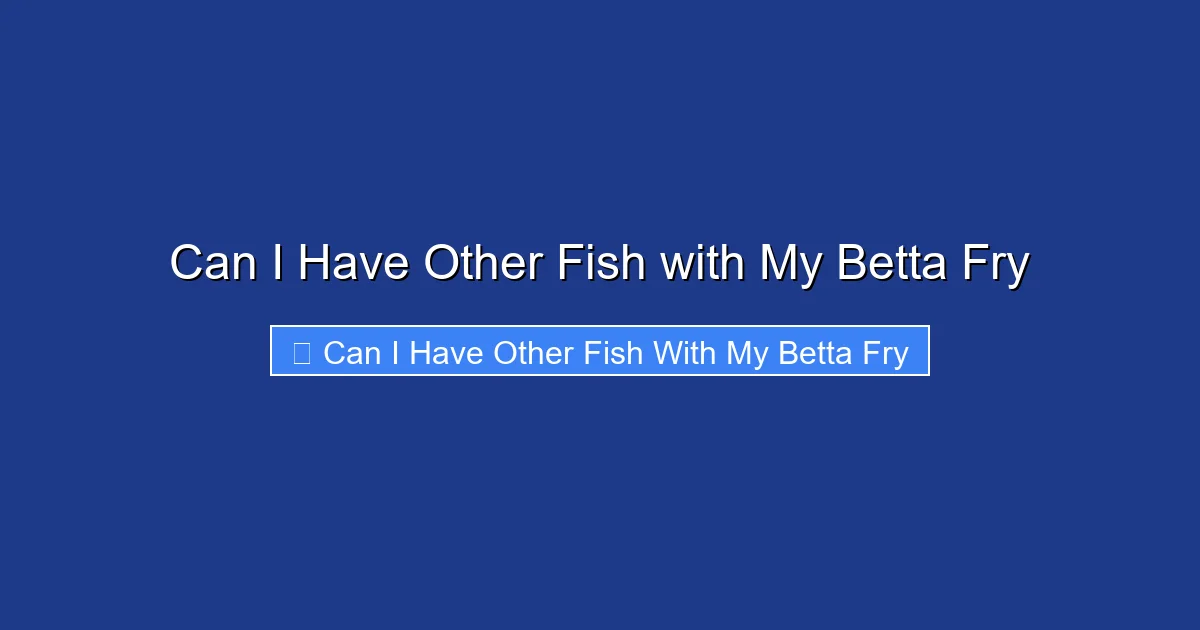 Can I Have Other Fish with My Betta Fry