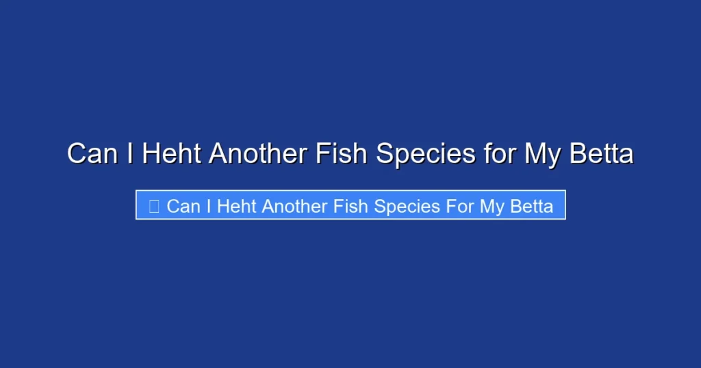 Can I Heht Another Fish Species for My Betta