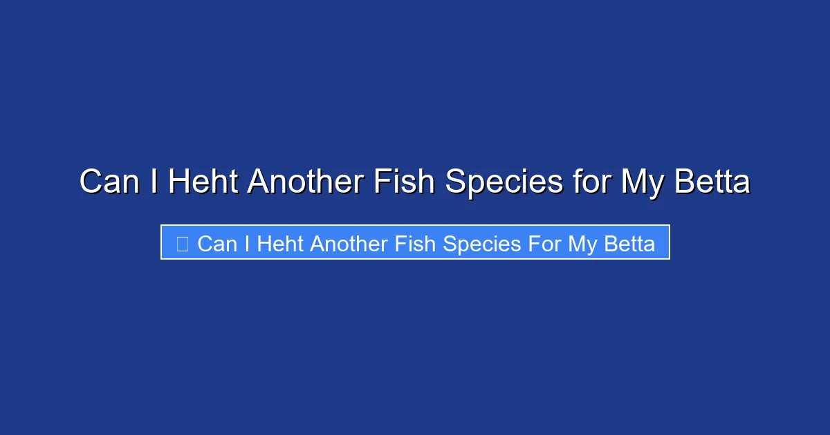 Can I Heht Another Fish Species for My Betta