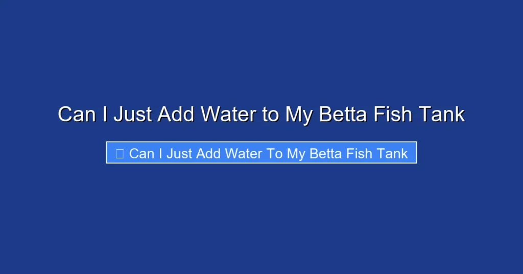 Can I Just Add Water to My Betta Fish Tank