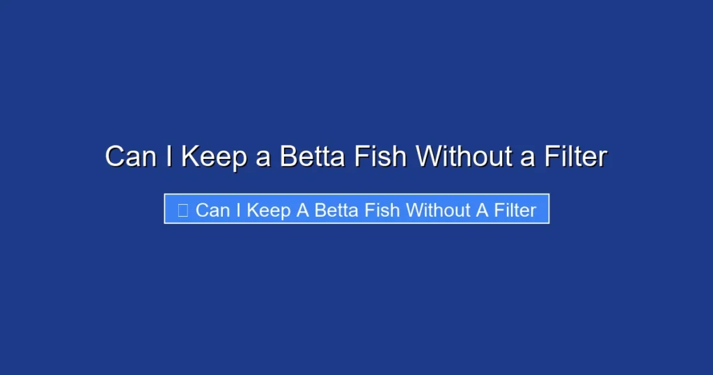 Can I Keep a Betta Fish Without a Filter