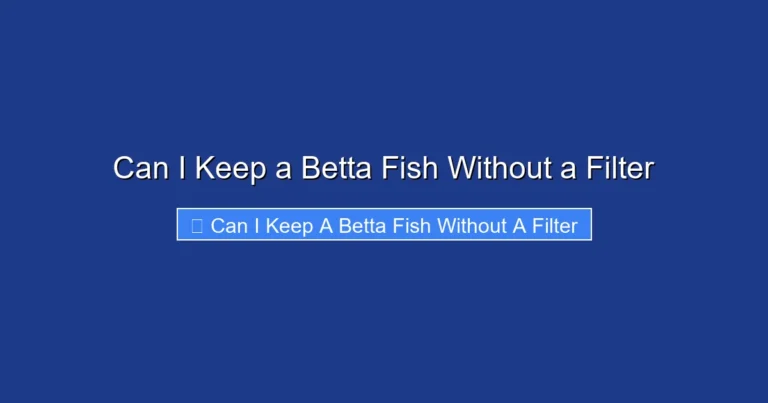 Can I Keep a Betta Fish Without a Filter