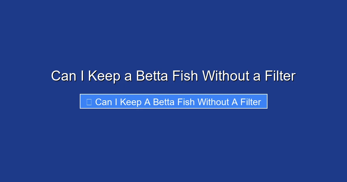 Can I Keep a Betta Fish Without a Filter