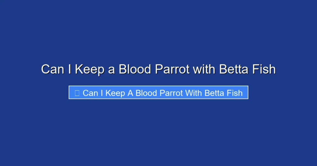 Can I Keep a Blood Parrot with Betta Fish