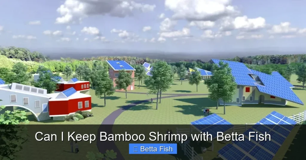 Can I Keep Bamboo Shrimp with Betta Fish