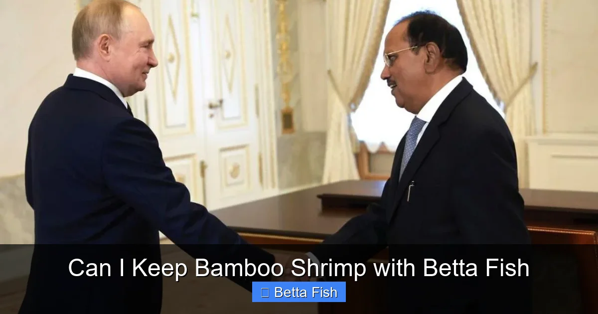 Can I Keep Bamboo Shrimp with Betta Fish