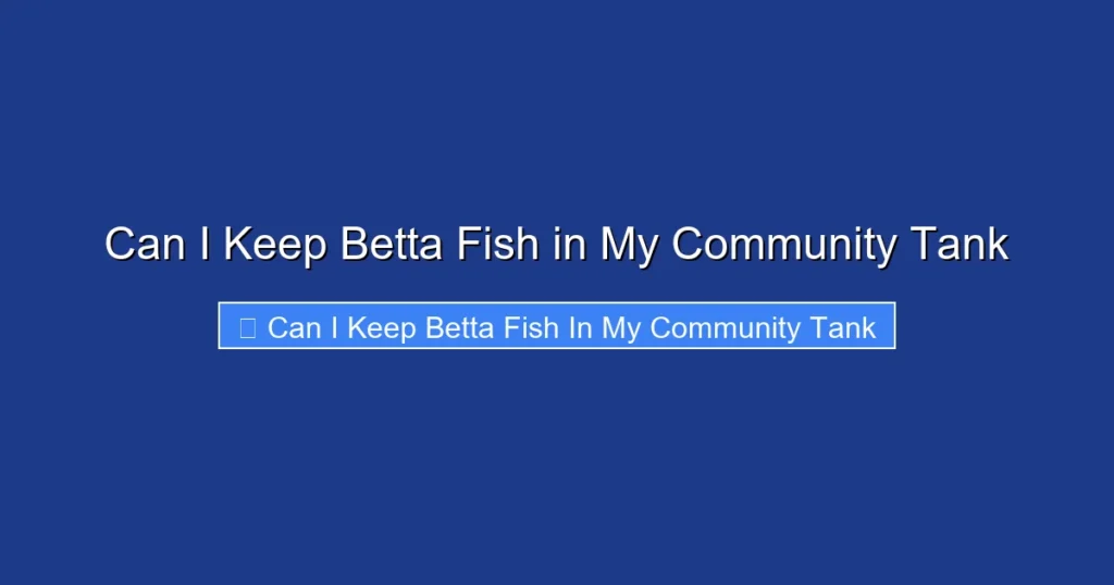 Can I Keep Betta Fish in My Community Tank