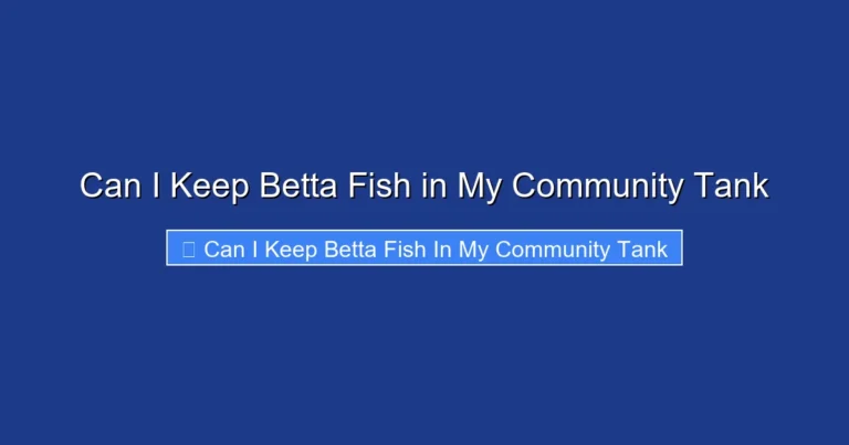 Can I Keep Betta Fish in My Community Tank