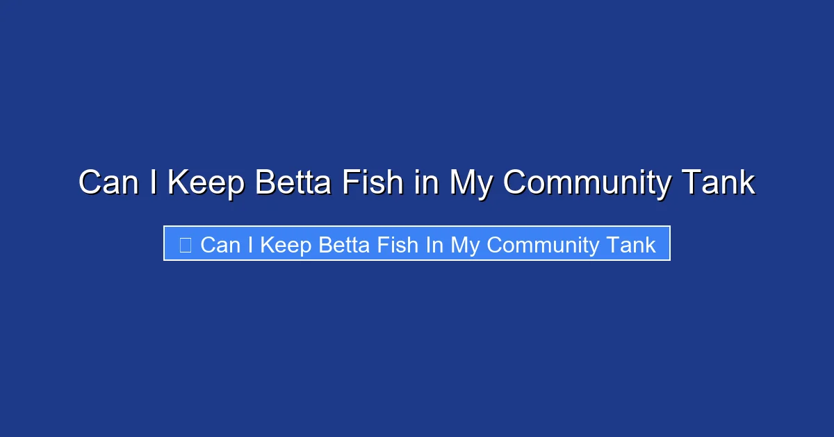 Can I Keep Betta Fish in My Community Tank