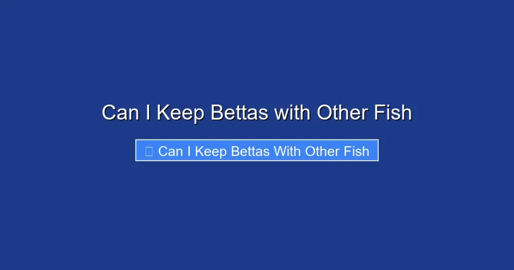 Can I Keep Bettas with Other Fish