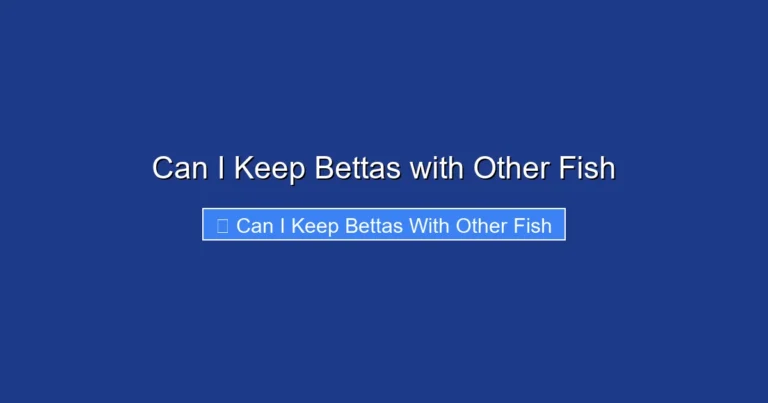Can I Keep Bettas with Other Fish