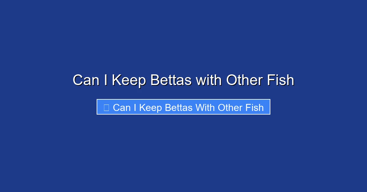 Can I Keep Bettas with Other Fish
