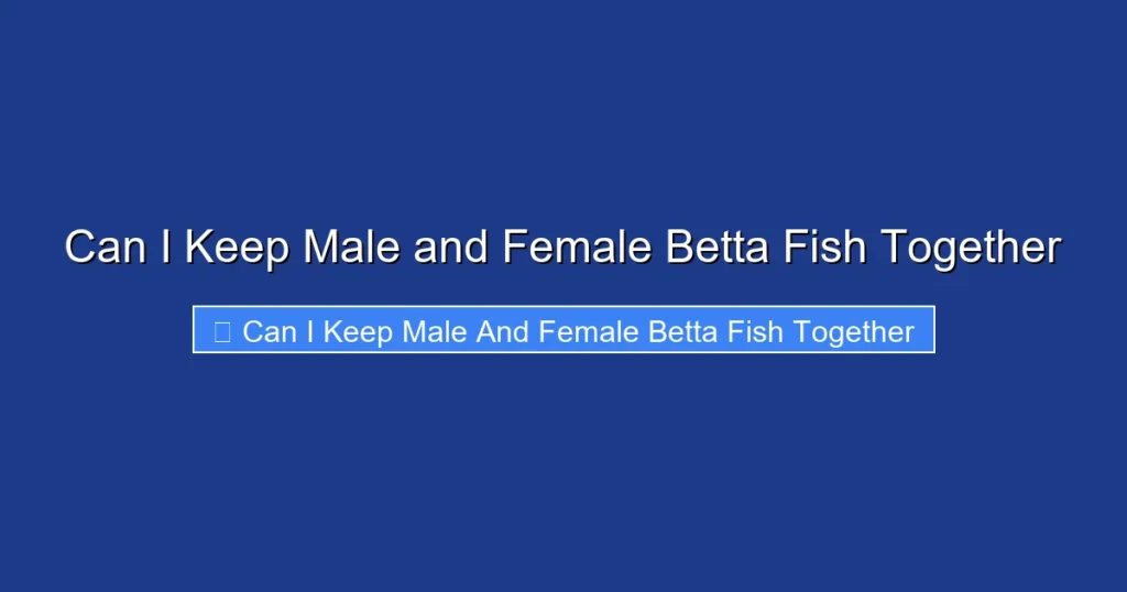 Can I Keep Male and Female Betta Fish Together