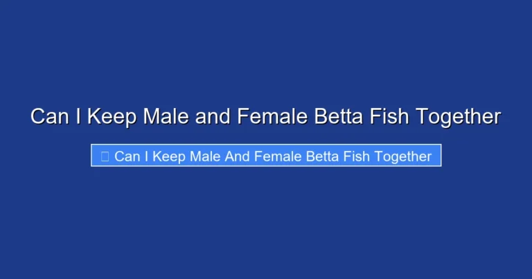Can I Keep Male and Female Betta Fish Together
