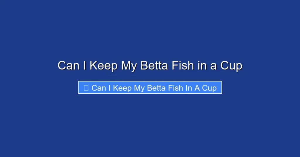 Can I Keep My Betta Fish in a Cup