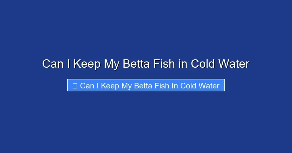 Can I Keep My Betta Fish in Cold Water