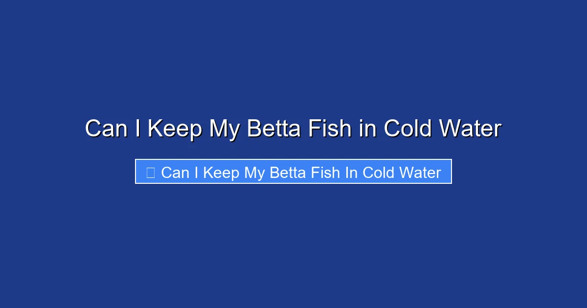Can I Keep My Betta Fish in Cold Water
