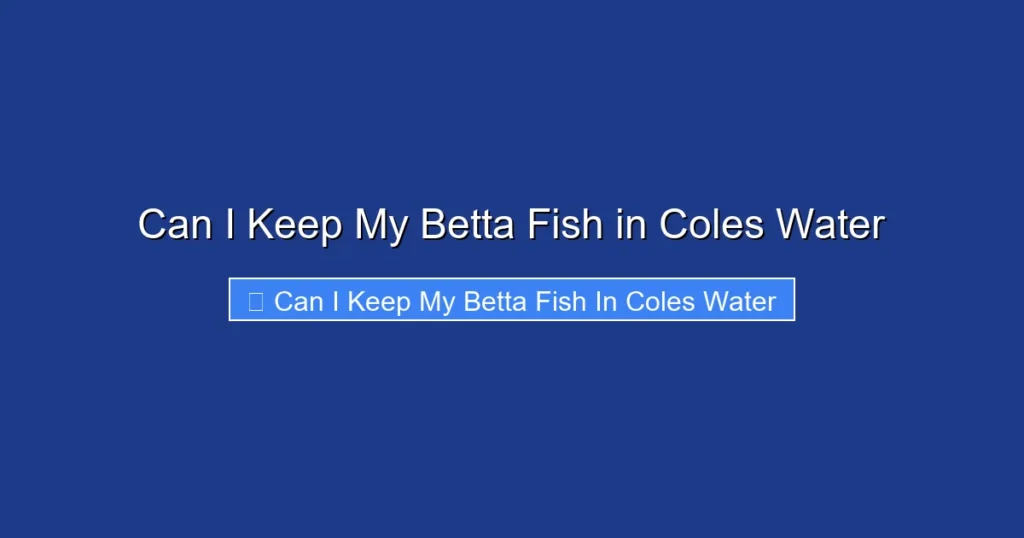 Can I Keep My Betta Fish in Coles Water