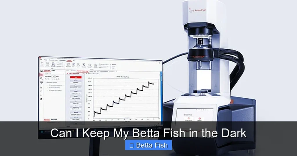 Can I Keep My Betta Fish in the Dark