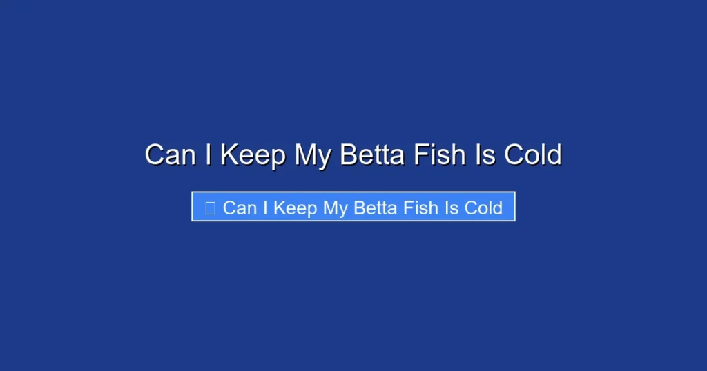 Can I Keep My Betta Fish Is Cold