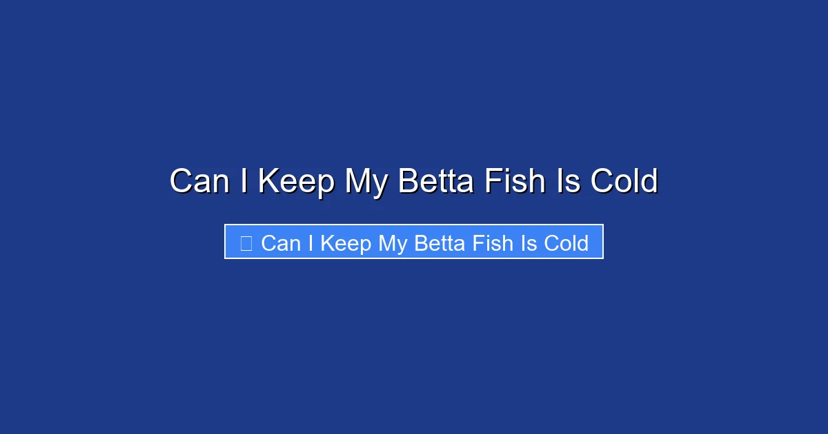 Can I Keep My Betta Fish Is Cold