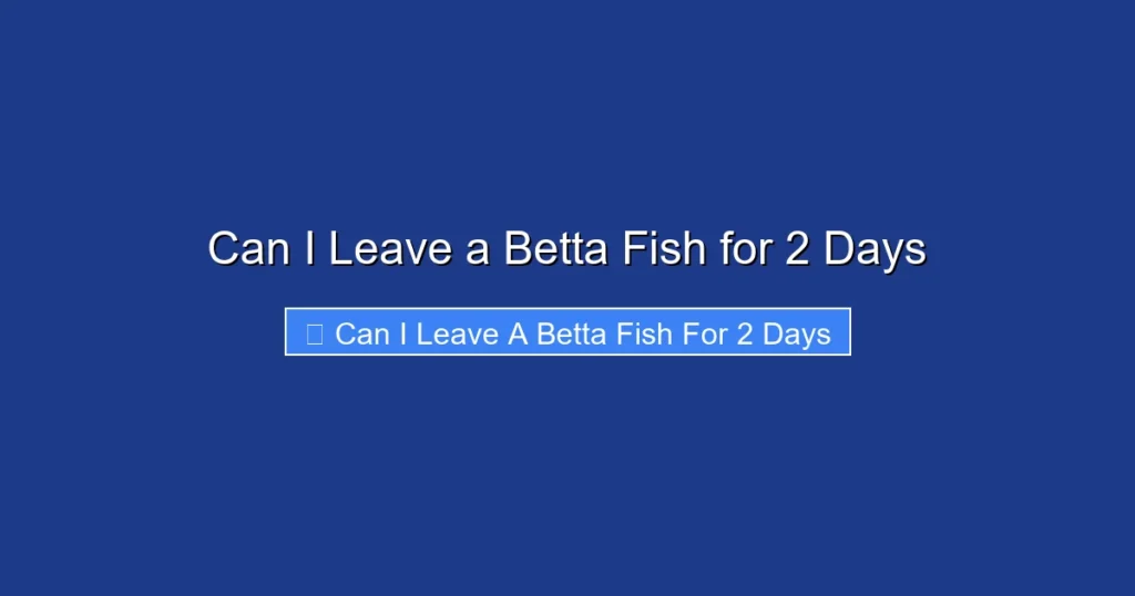 Can I Leave a Betta Fish for 2 Days