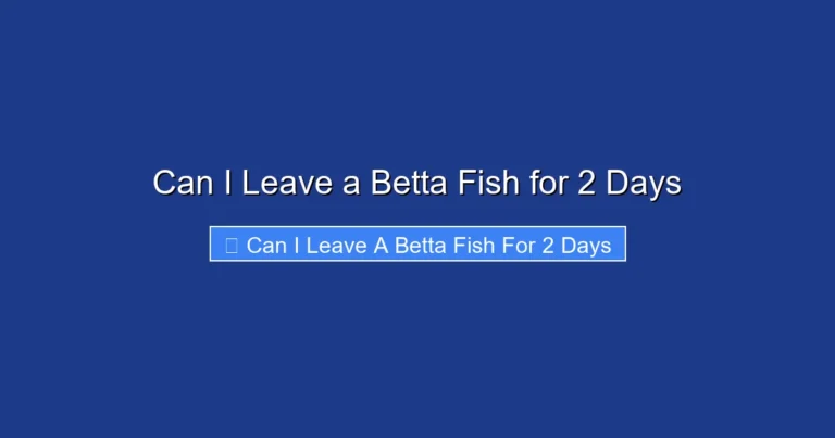 Can I Leave a Betta Fish for 2 Days