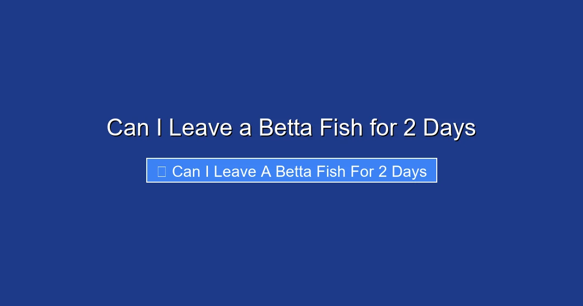 Can I Leave a Betta Fish for 2 Days