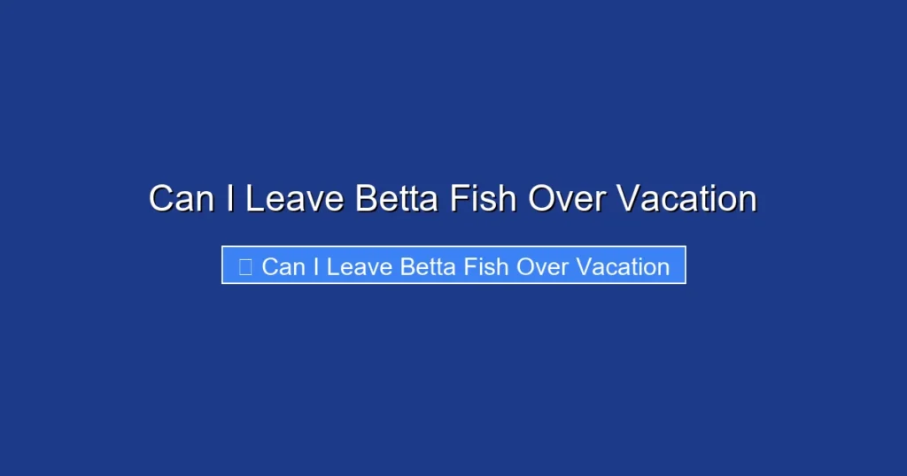 Can I Leave Betta Fish Over Vacation