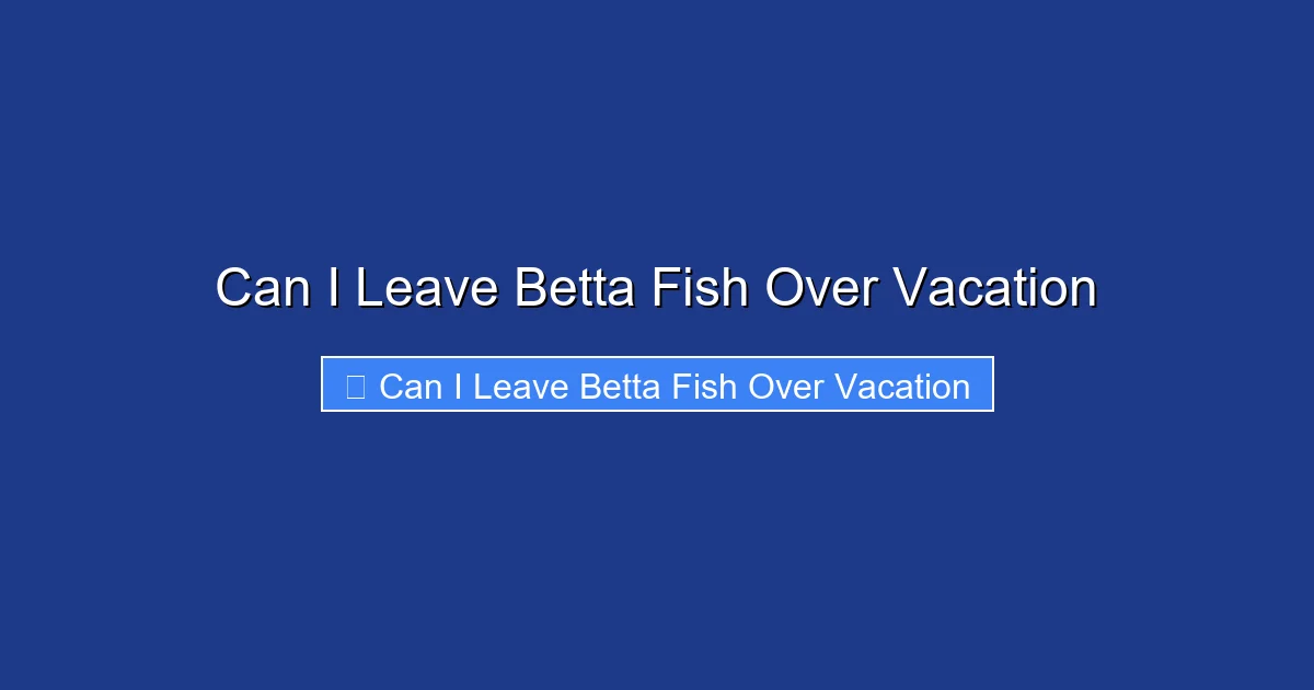 Can I Leave Betta Fish Over Vacation