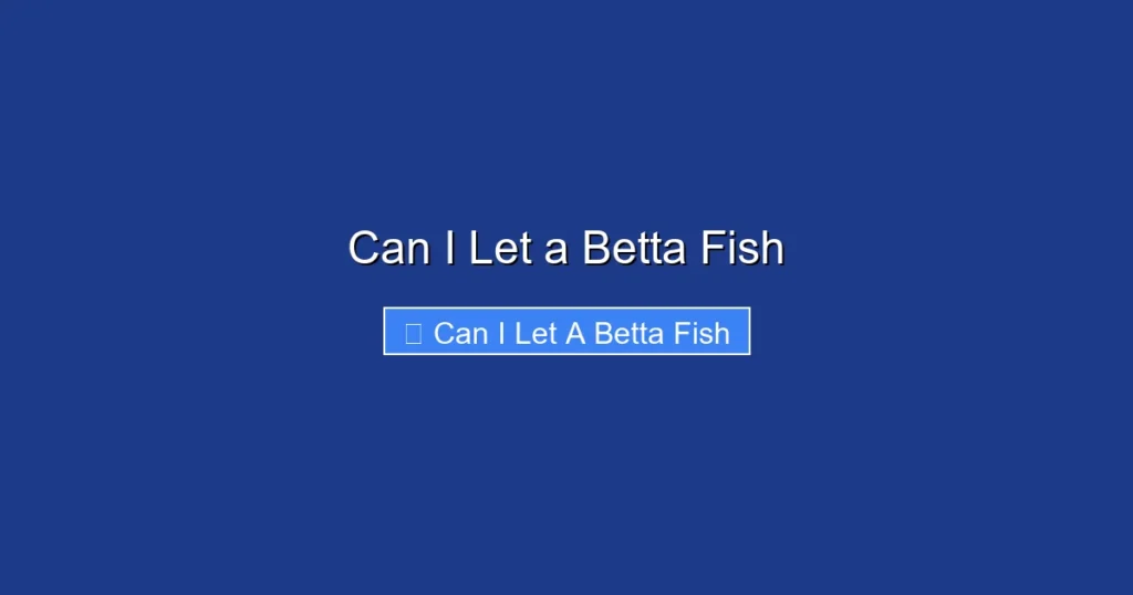 Can I Let a Betta Fish
