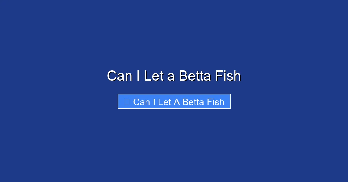 Can I Let a Betta Fish