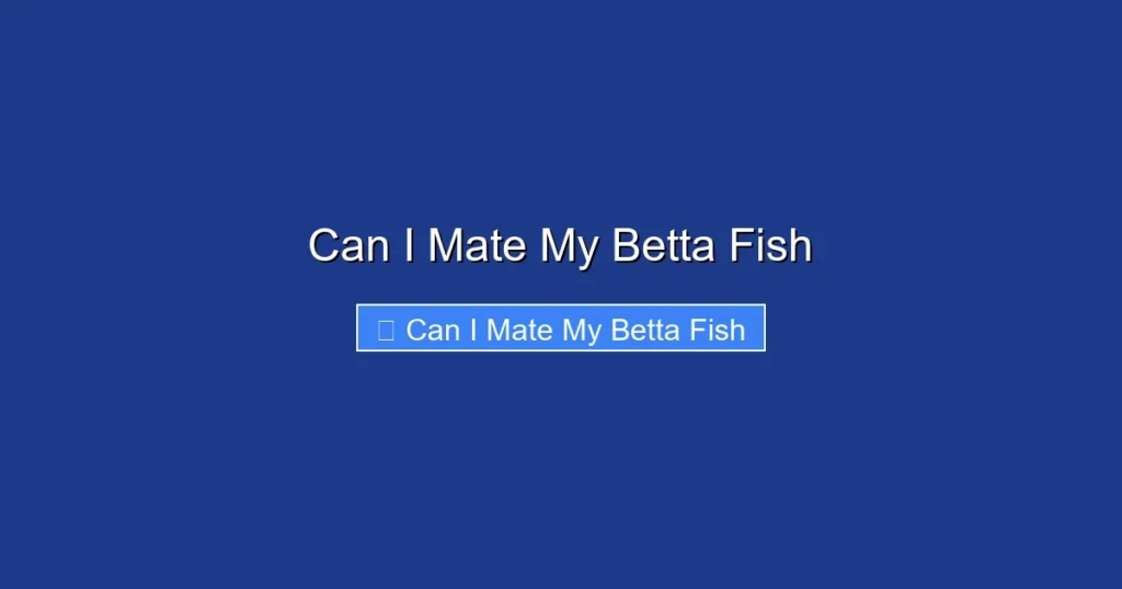 Can I Mate My Betta Fish