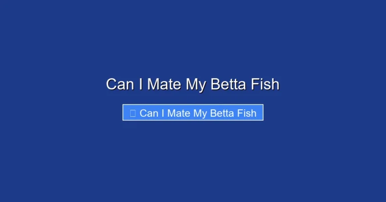 Can I Mate My Betta Fish