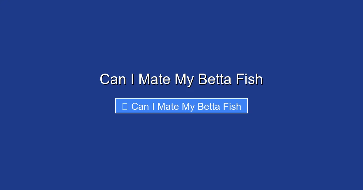 Can I Mate My Betta Fish