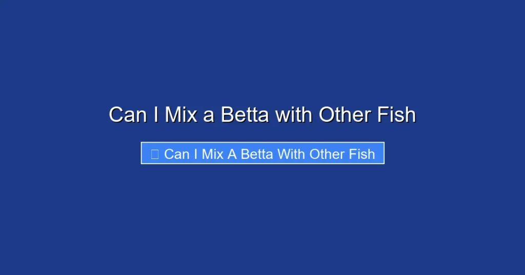 Can I Mix a Betta with Other Fish