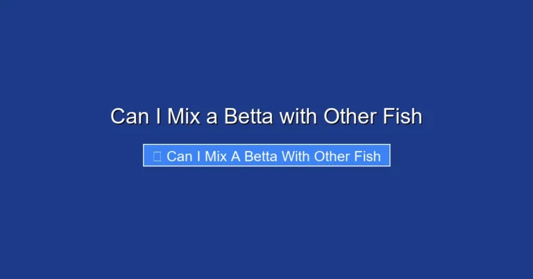 Can I Mix a Betta with Other Fish