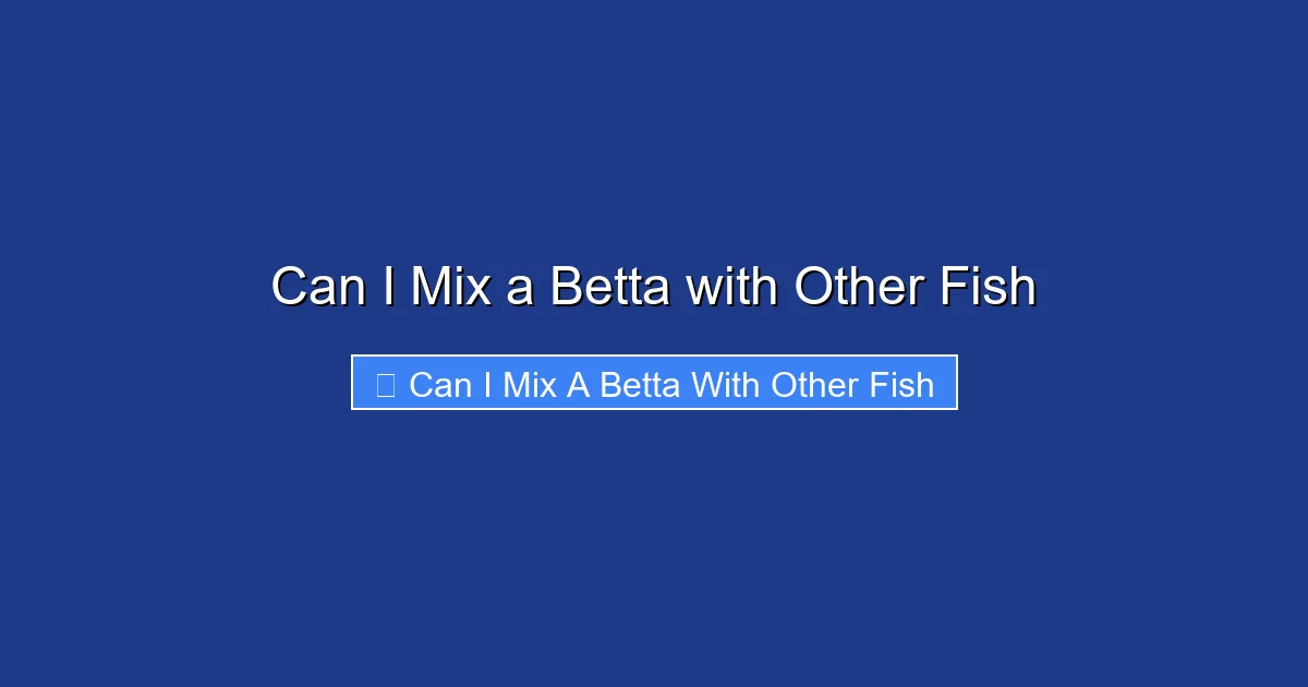 Can I Mix a Betta with Other Fish