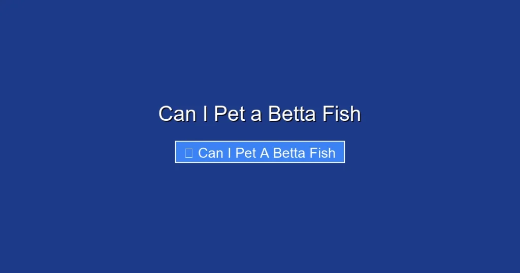 Can I Pet a Betta Fish