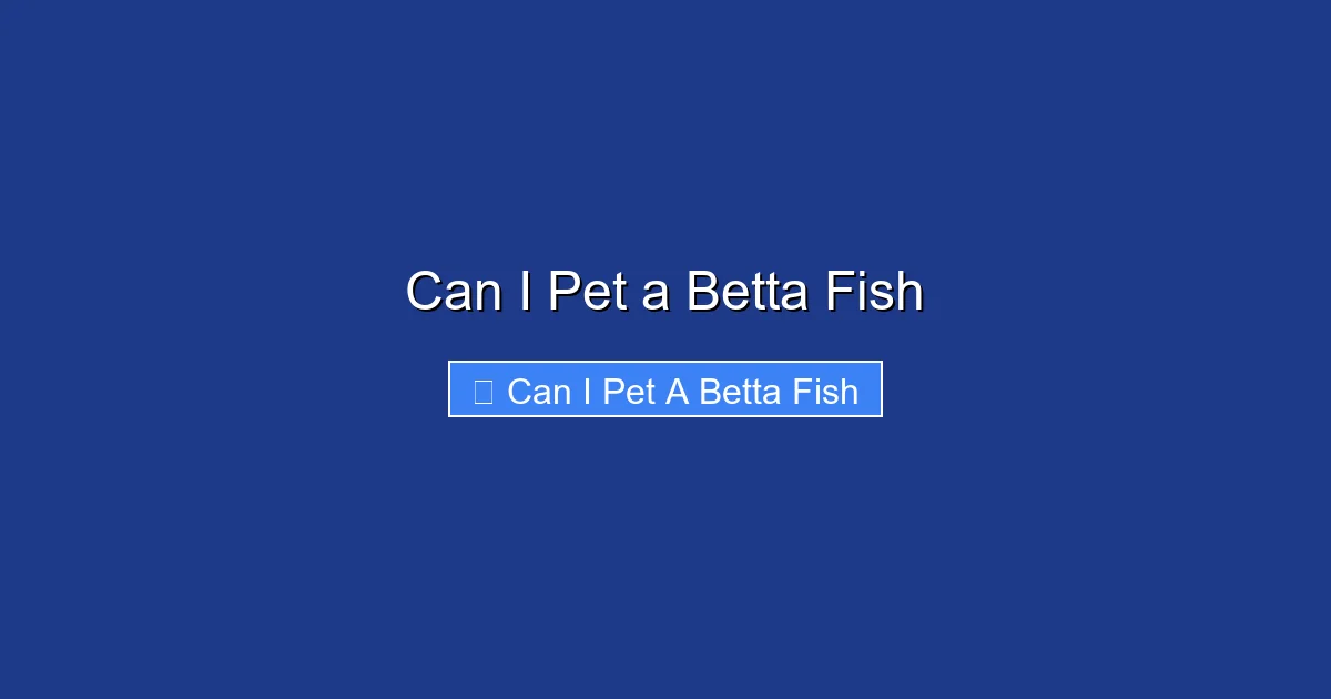 Can I Pet a Betta Fish