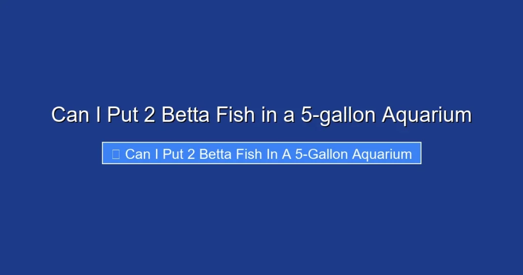 Can I Put 2 Betta Fish in a 5-gallon Aquarium