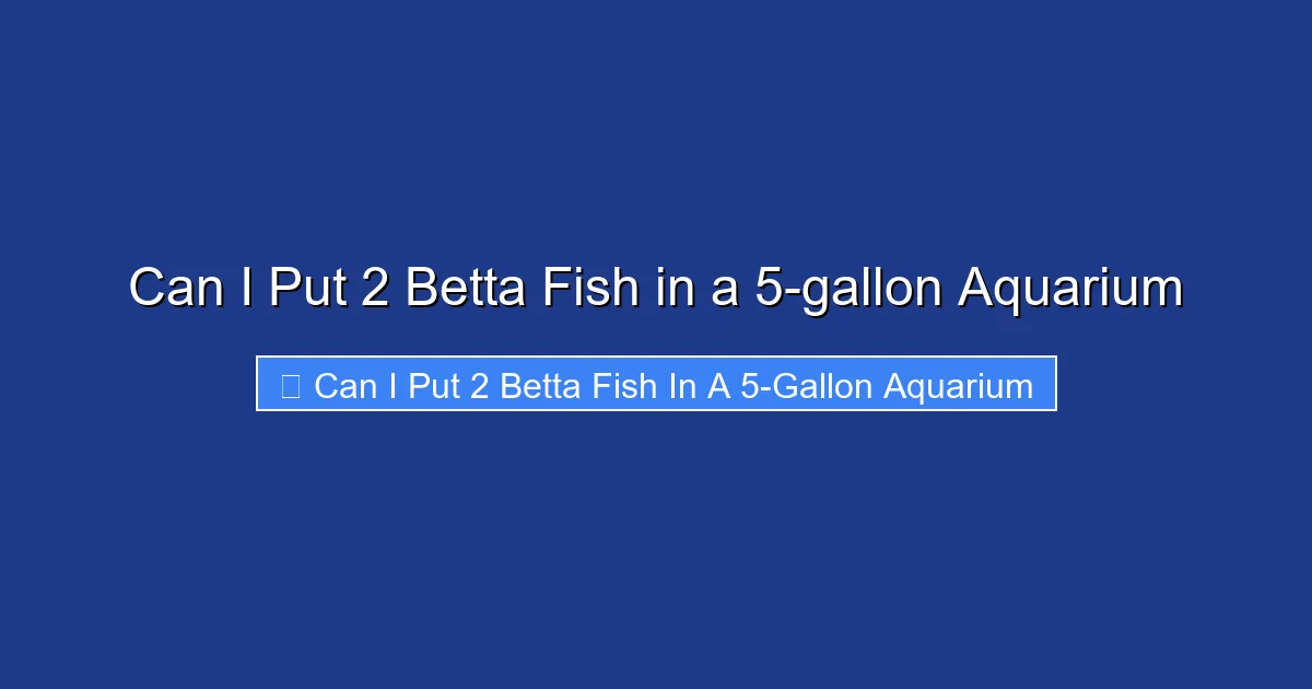 Can I Put 2 Betta Fish in a 5-gallon Aquarium