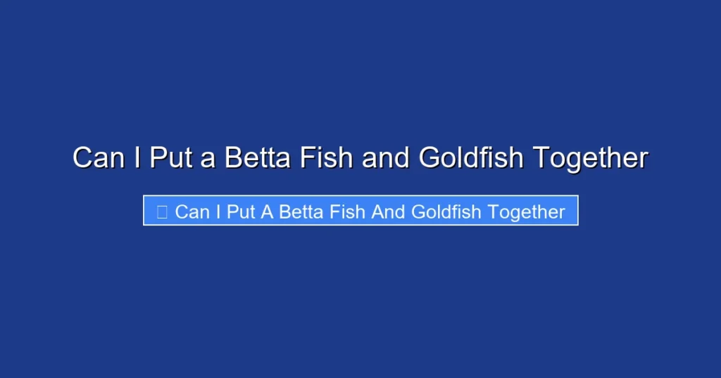 Can I Put a Betta Fish and Goldfish Together