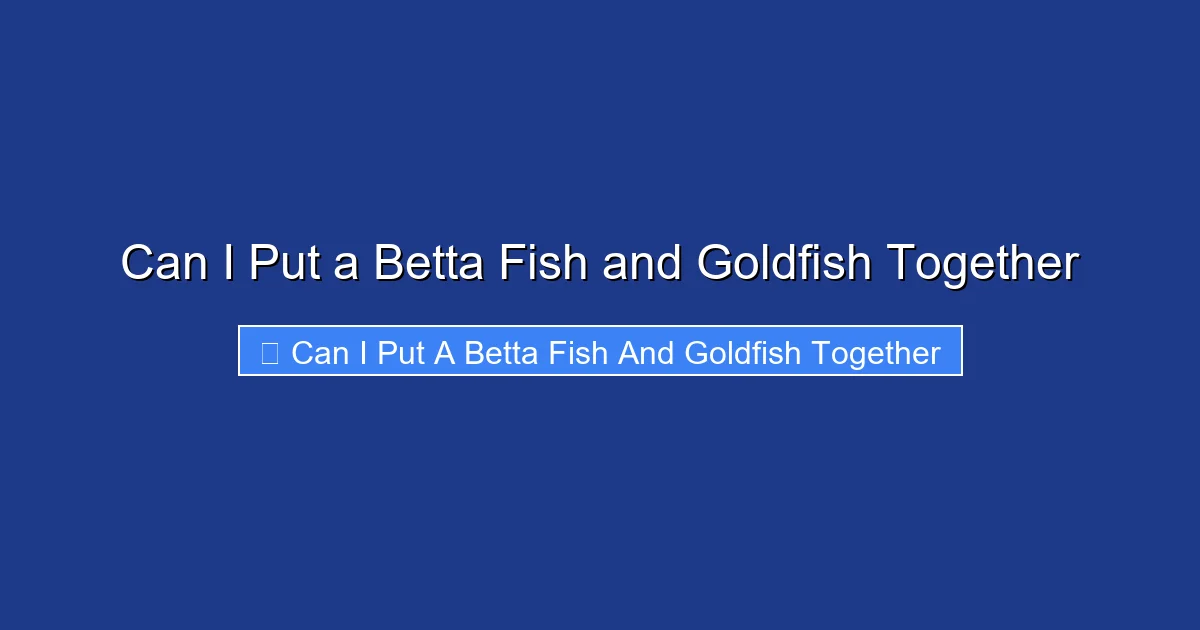 Can I Put a Betta Fish and Goldfish Together
