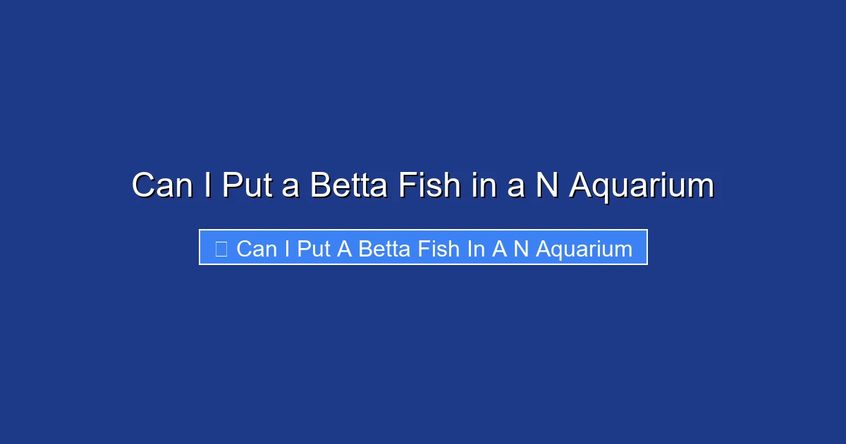 Can I Put a Betta Fish in a N Aquarium