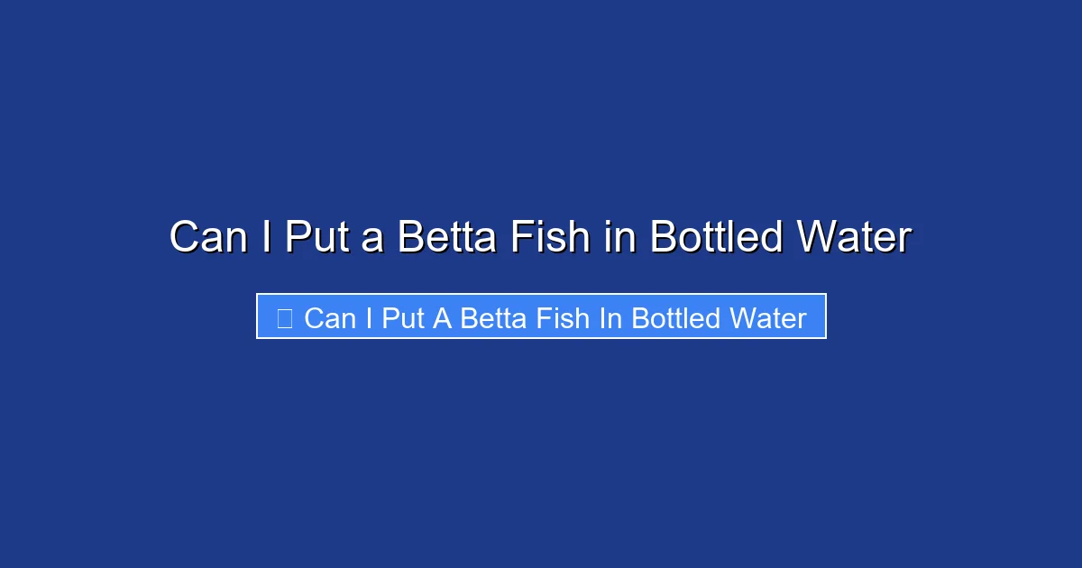 Can I Put a Betta Fish in Bottled Water