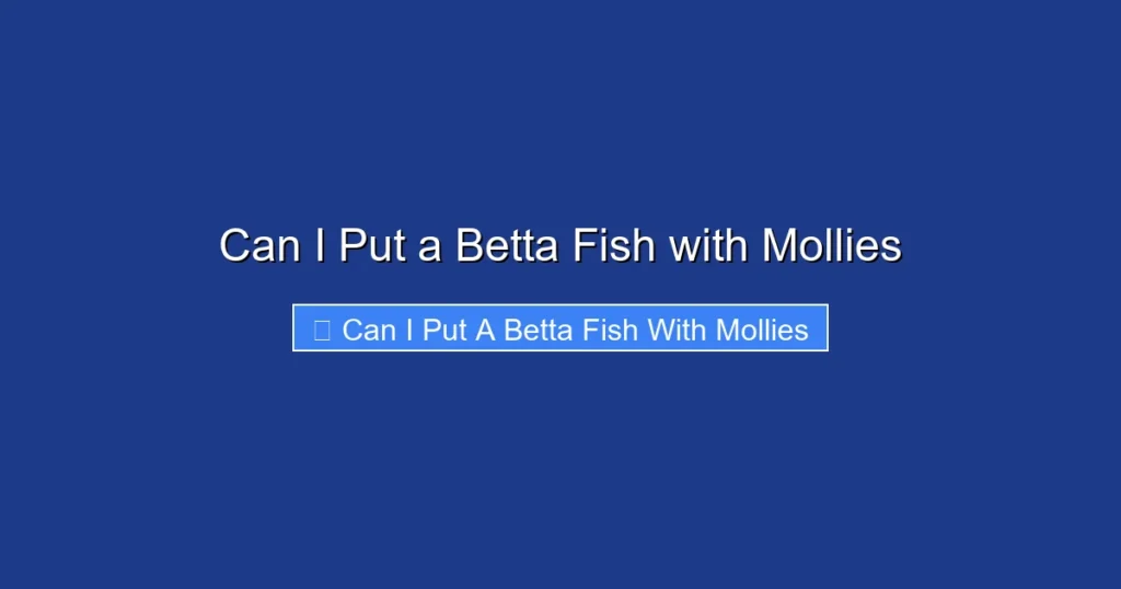 Can I Put a Betta Fish with Mollies